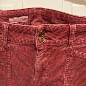 Anthropologie Pilcro The Wanderer Relaxed Leg Corduroy Pants size 30 pink